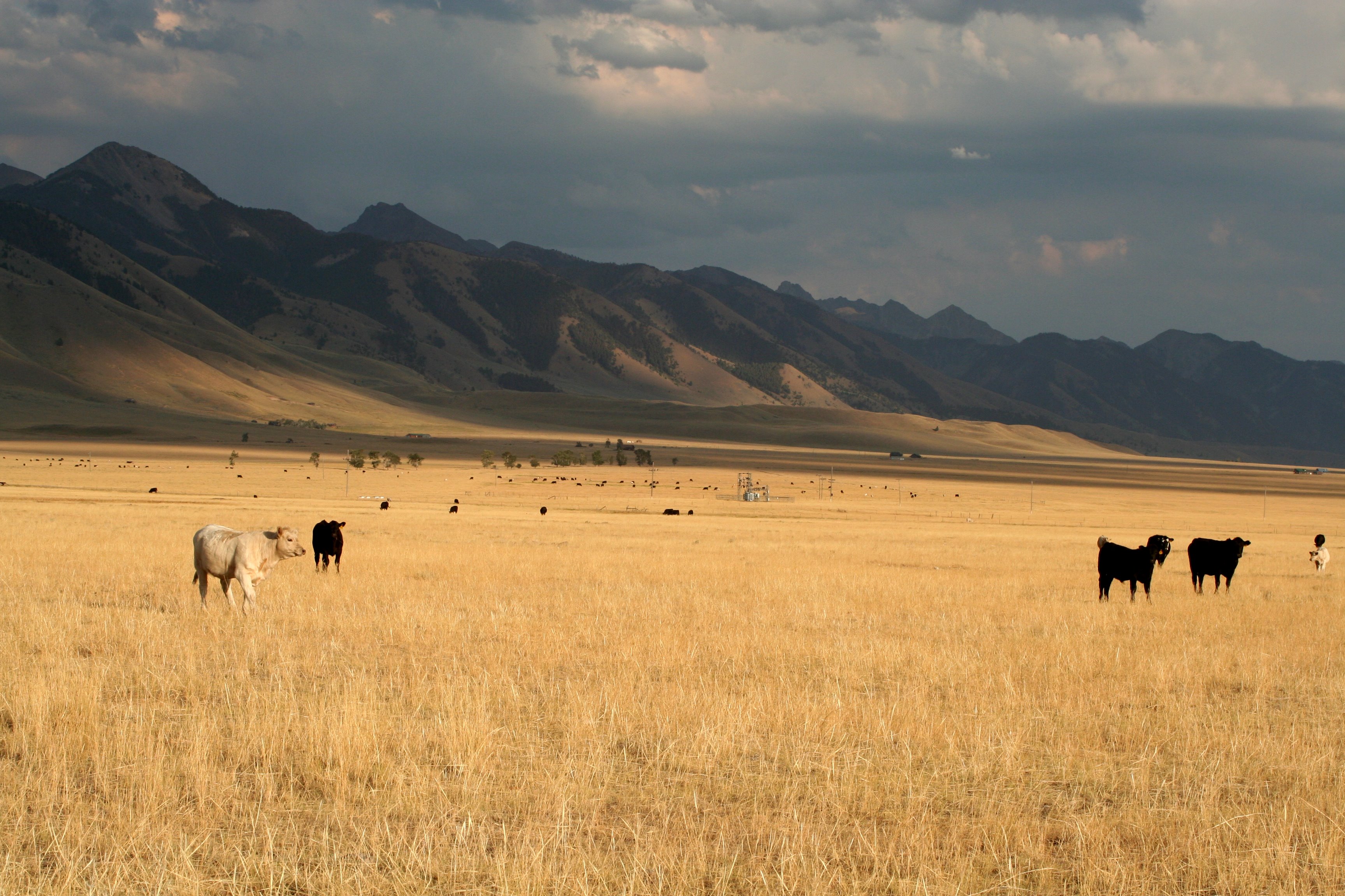 United States North Central Plains Students