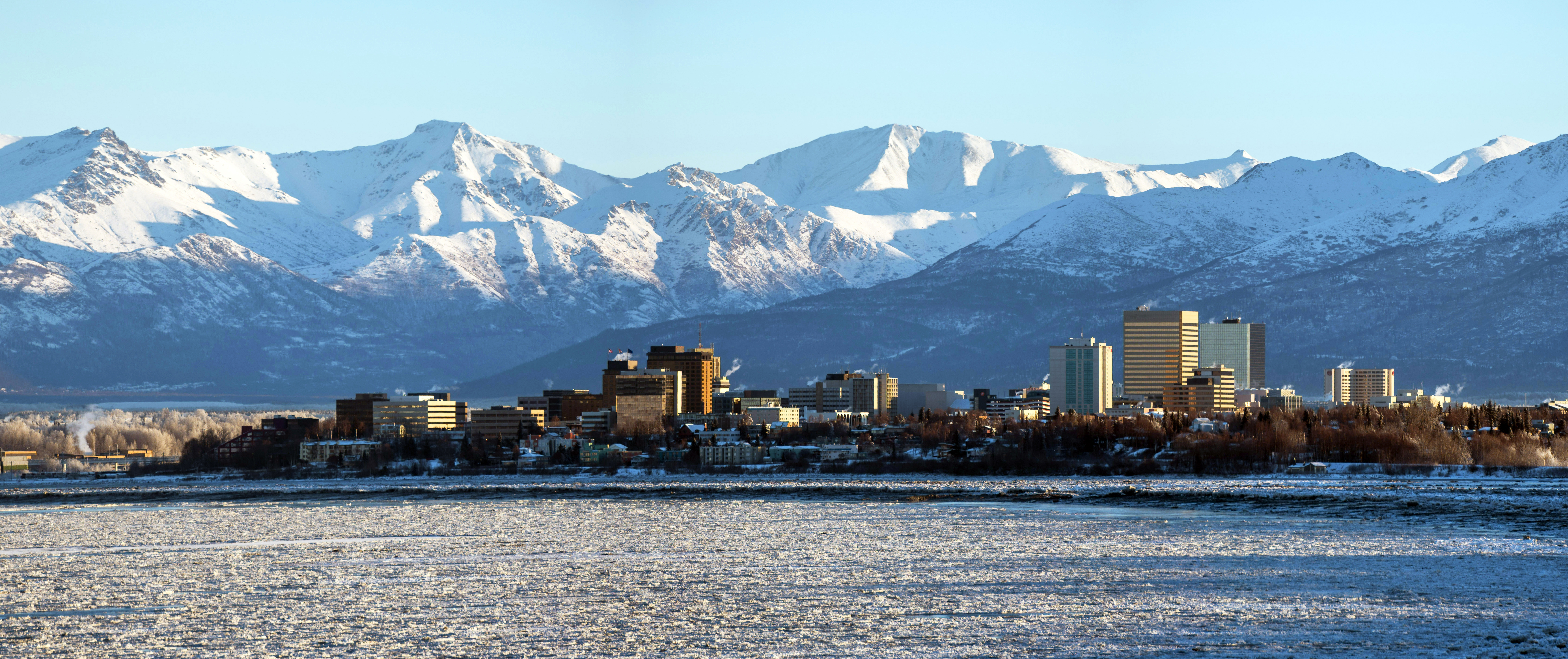 Alaska salmon woes, extreme precipitation, tundra shrub growth part of  Arctic transformation • Alaska Beacon