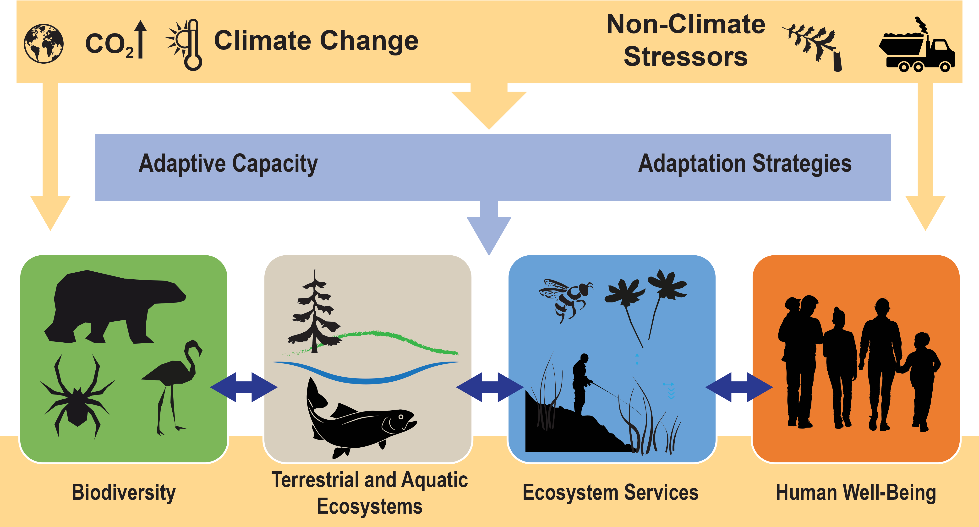 climate change on ecosystem case study