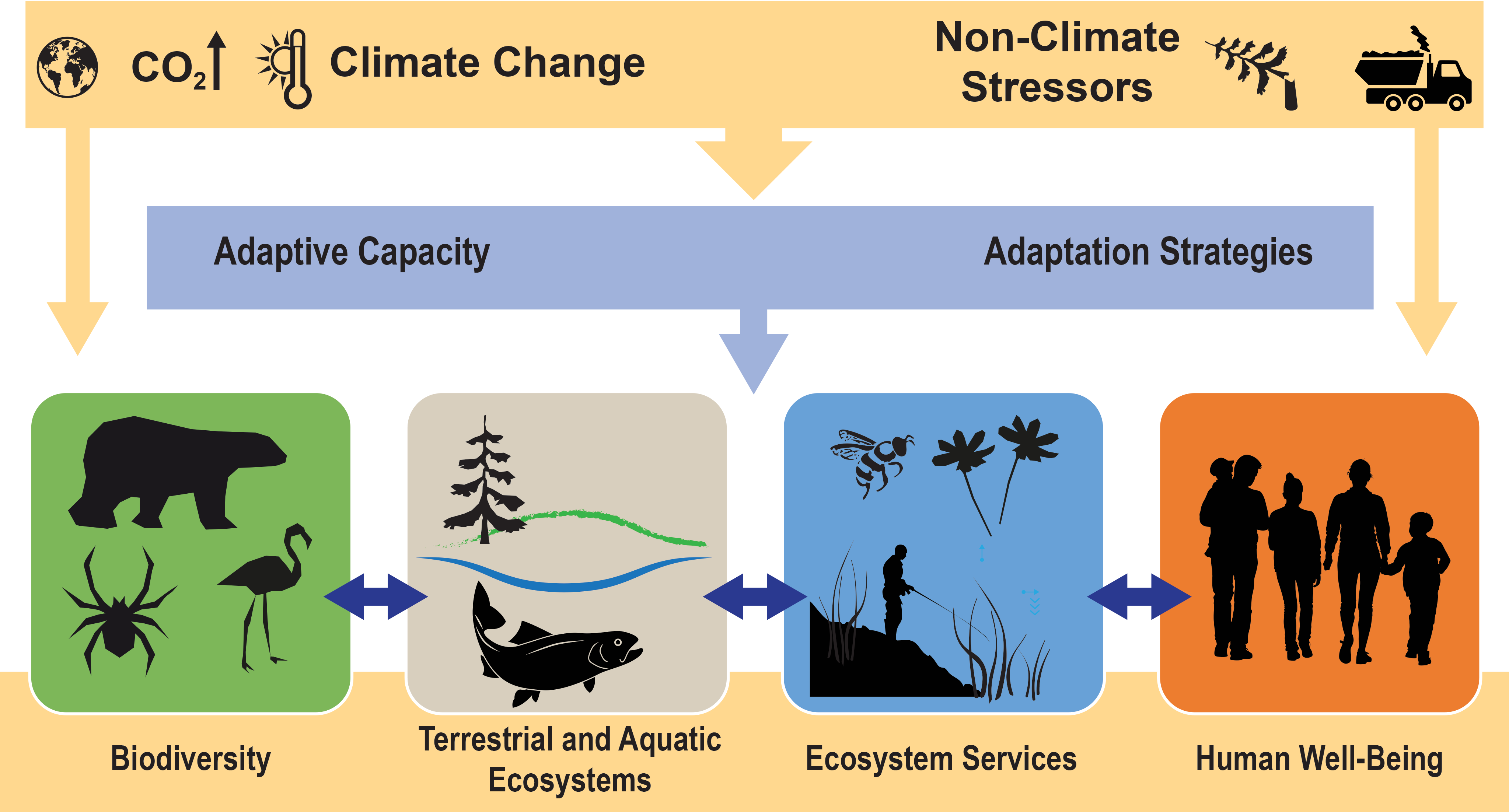 Ecosystem Services Examples By Humans